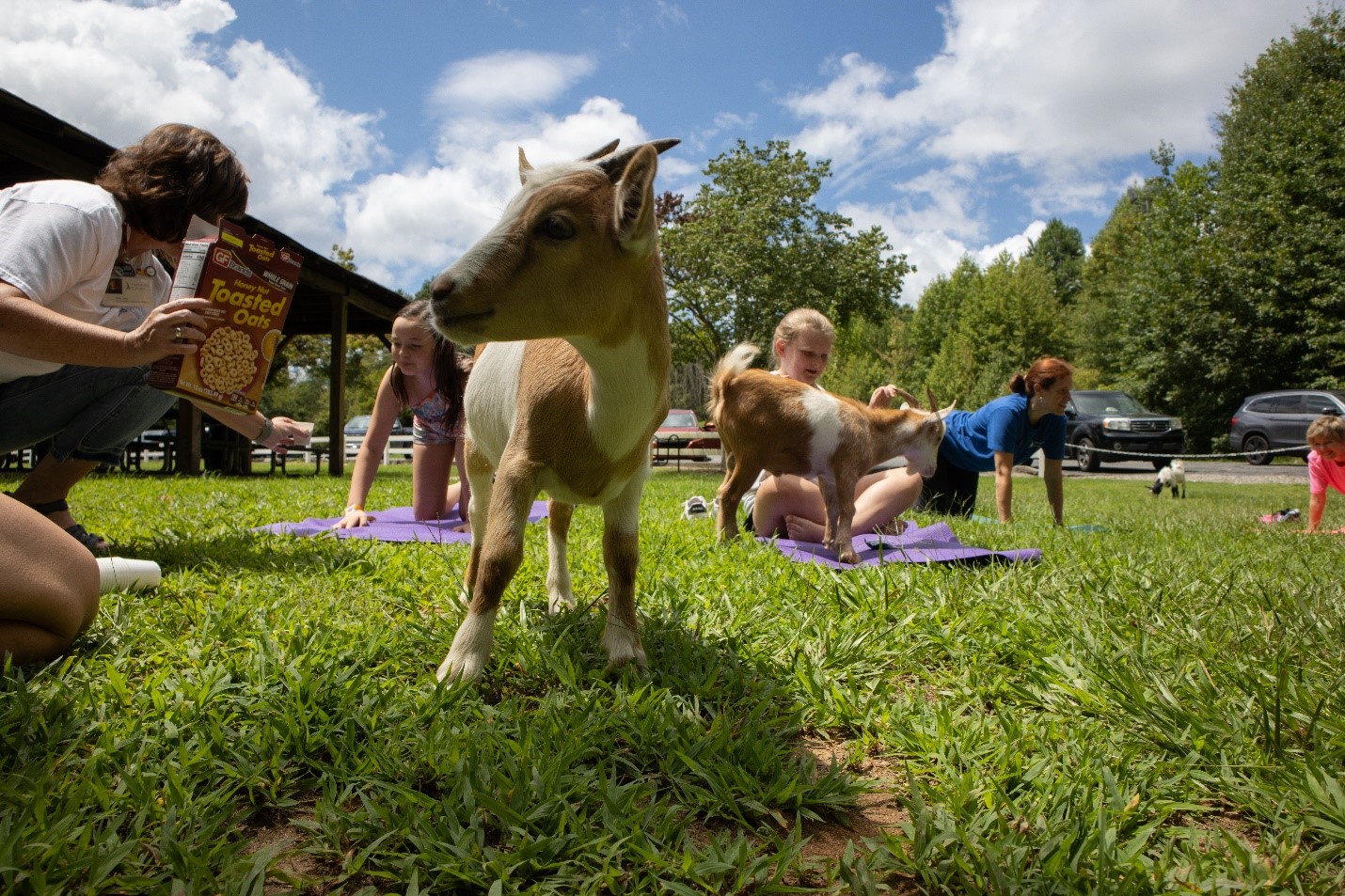 Inicio WNC Bridge Foundation